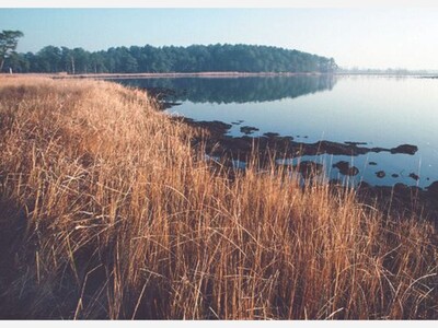 Maryland Public Television offers special programming for  Chesapeake Bay Week 2021 